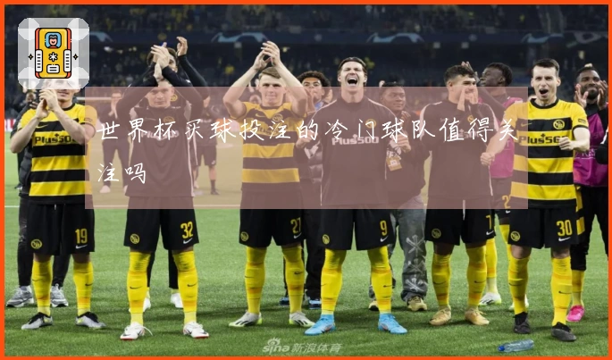 世界杯买球投注的冷门球队值得关注吗