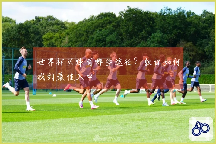 世界杯买球有哪些途径？教你如何找到最佳入口