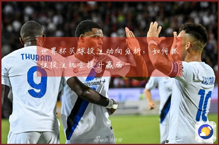 世界杯买球投注动向分析，如何抓住投注机会提升赢面