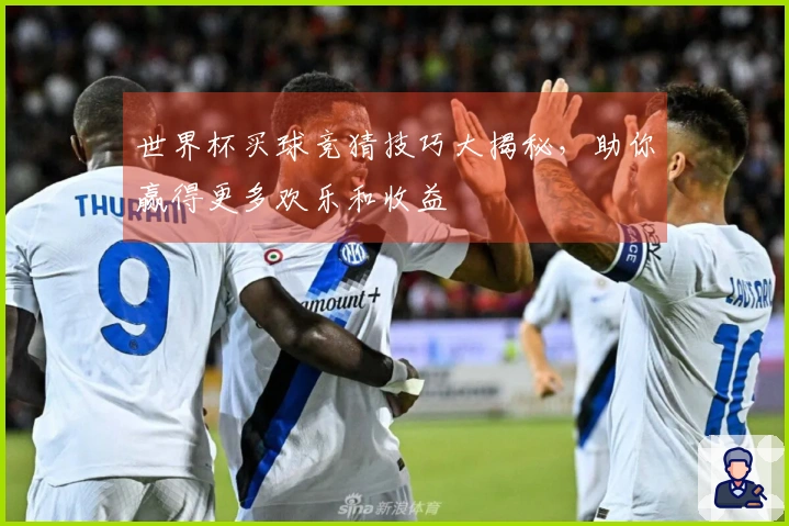 世界杯买球竞猜技巧大揭秘，助你赢得更多欢乐和收益