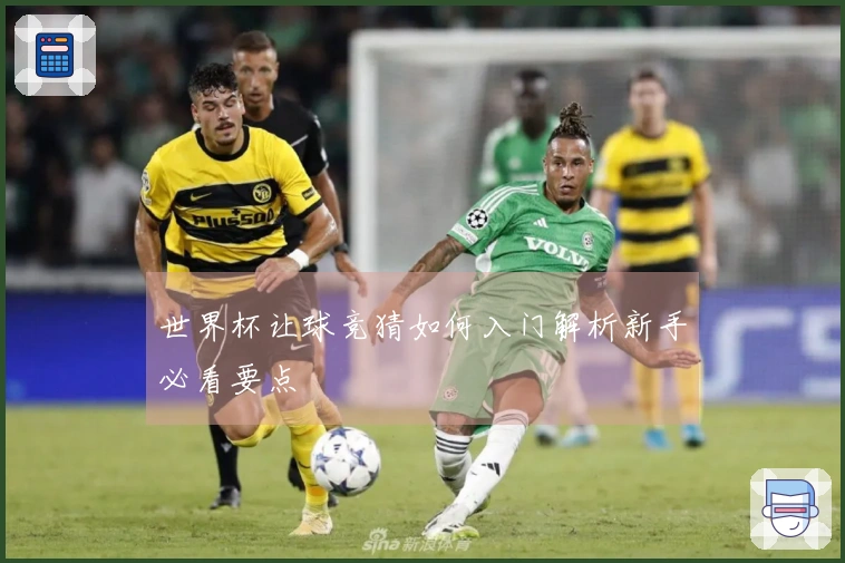 世界杯让球竞猜如何入门解析新手必看要点