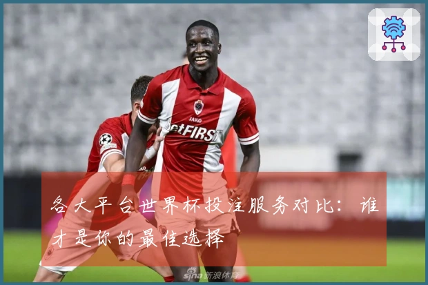各大平台世界杯投注服务对比：谁才是你的最佳选择