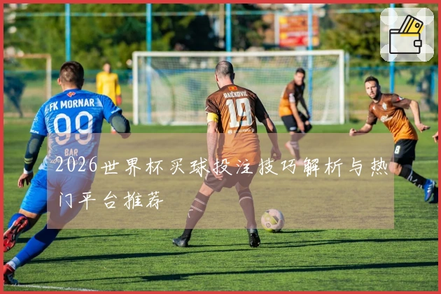 2026世界杯买球投注技巧解析与热门平台推荐