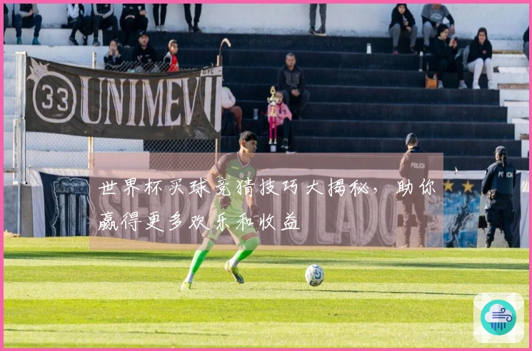 世界杯买球竞猜技巧大揭秘，助你赢得更多欢乐和收益