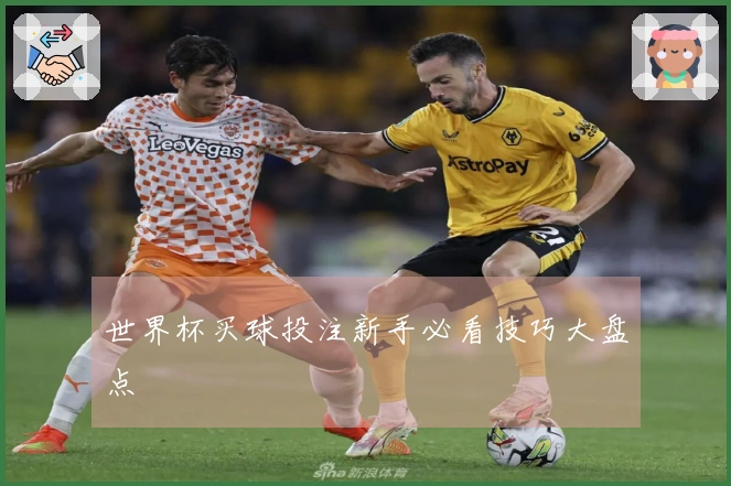 世界杯买球投注新手必看技巧大盘点