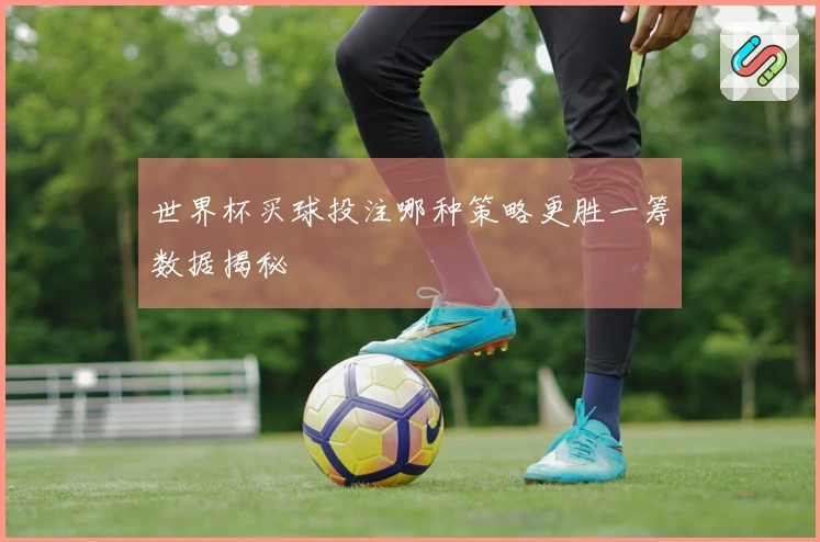 世界杯买球投注哪种策略更胜一筹数据揭秘