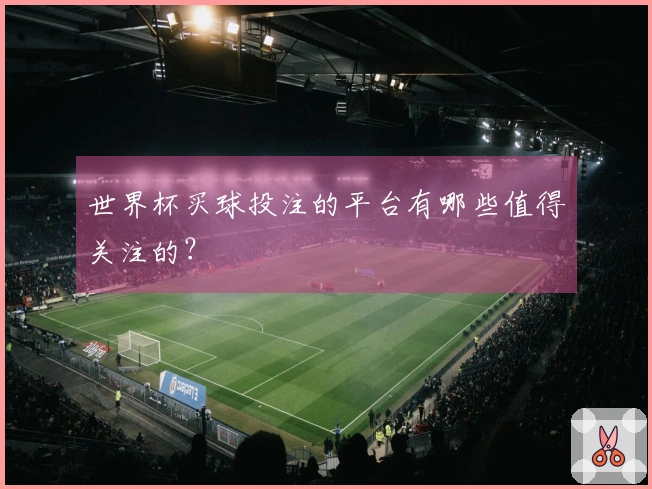 世界杯买球投注的平台有哪些值得关注的？