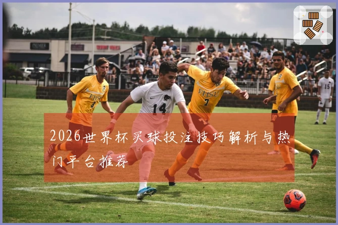 2026世界杯买球投注技巧解析与热门平台推荐