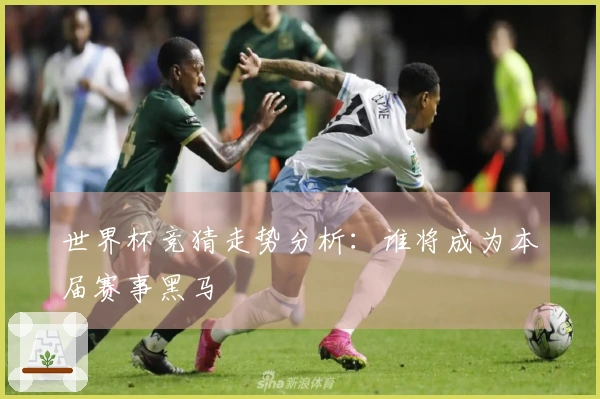 世界杯竞猜走势分析：谁将成为本届赛事黑马